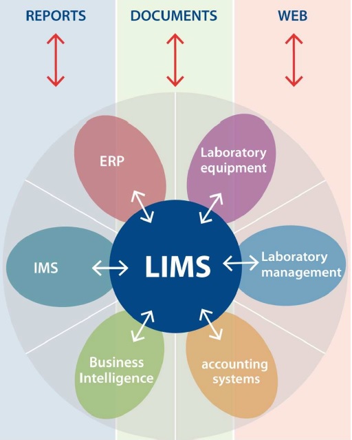 lims software development