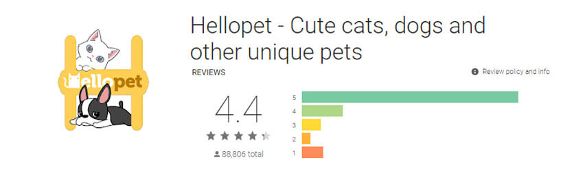 mobile app development