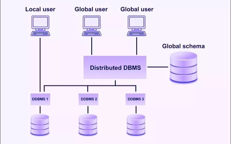 best database for app development