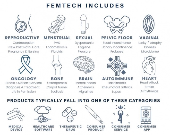 What is Femtech