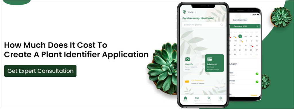 Best Plant Identifier Apps