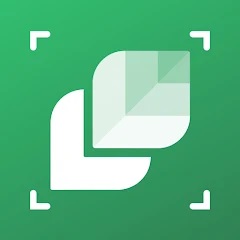 LeafSnap - plant identification mobile 