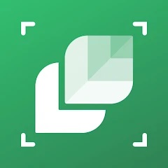 LeafSnap - plant identification mobile
