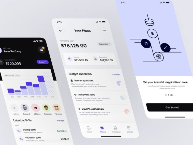 Financial Record maintenance apps