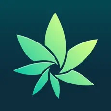Top Marijuana Mobile App