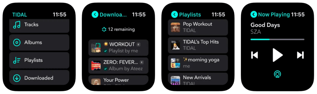 Tidal apple watch app