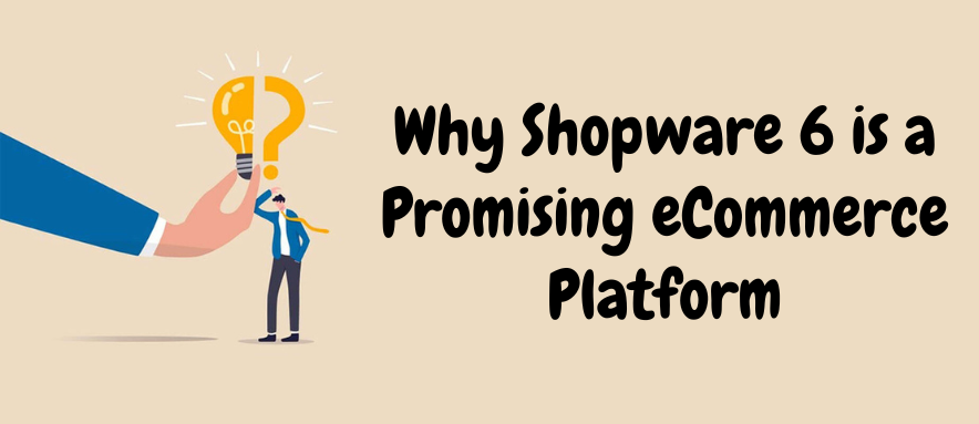 Why Shopware 6 is a Promising eCommerce Platform