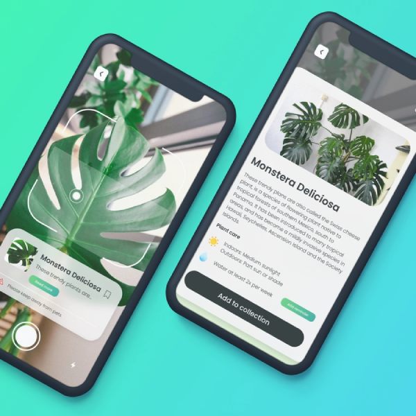 Best Plant Identifier Mobile Apps in 2024