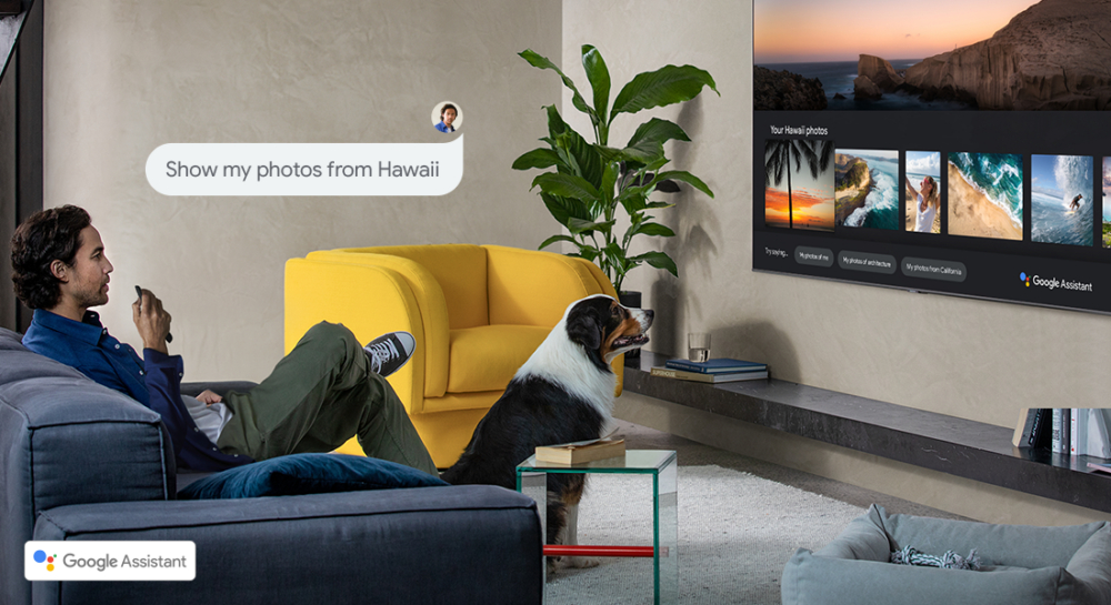 TV-voice-control